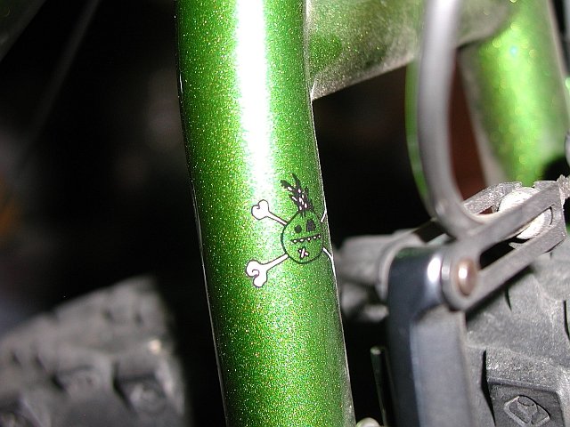 yo rear.JPG